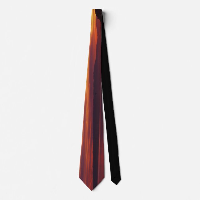 Corbata Ombré Necktie (Anverso)