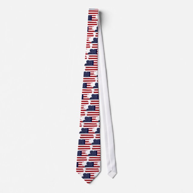 Corbata Orgulloso americano_ (Anverso)
