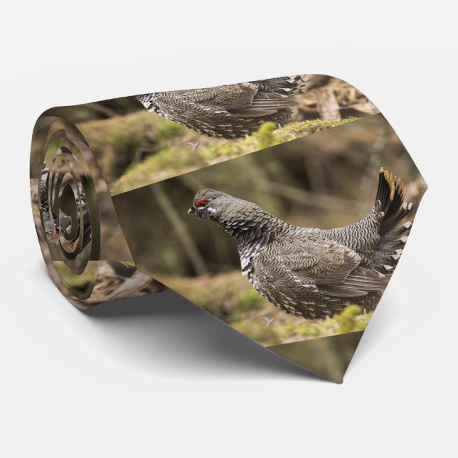 Corbata Orgulloso grupo (Enrollado)