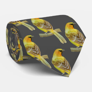 Corbata Oriole Hooded