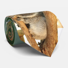 Corbata Oso Koala -3,