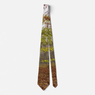 Corbata Otoño Feliz