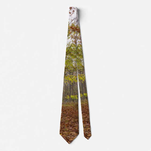 Corbata Otoño Feliz (Anverso)