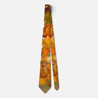 Corbata Otoño - Simple armonía