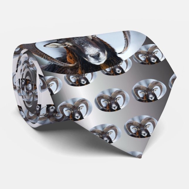 Corbata Oveja grande de corneta - Mouflon (Enrollado)