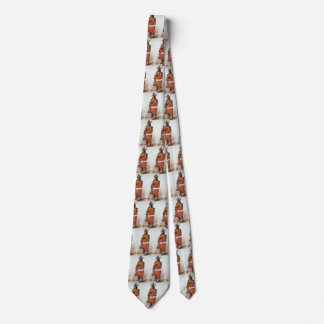 Corbata Pachtuwa-Chta, Retrato del guerrero arikara por Bo