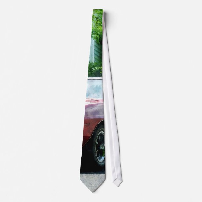 Corbata Pájaro Rojo Convertible (Anverso)
