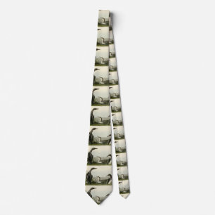 Corbata Pájaros audubónicos de los Estados Unidos