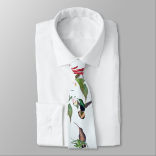 Corbata Pájaros colibríes tropicales