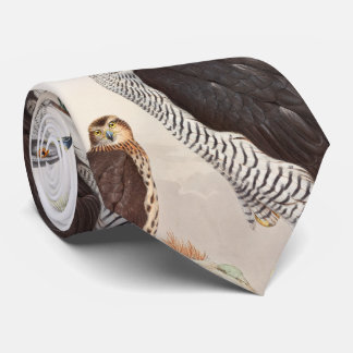 Corbata Pájaros de Juan Gould del azor de la fauna de Gran