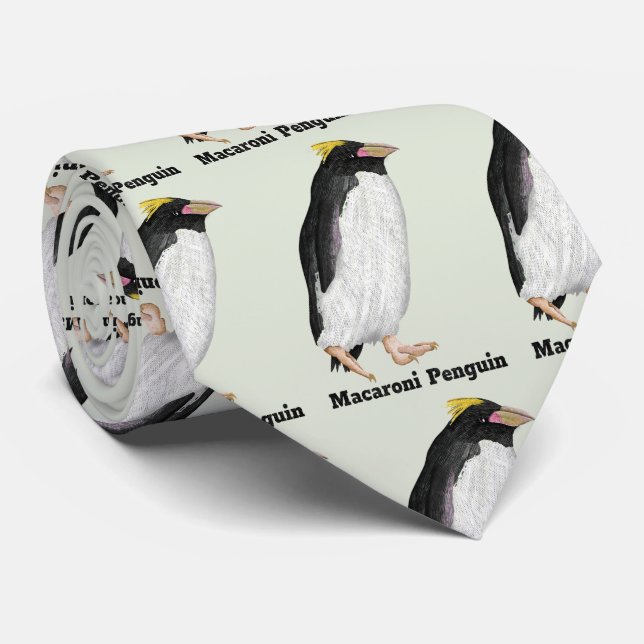 Corbata Palaeeudyptes Extinct Penguin (Enrollado)