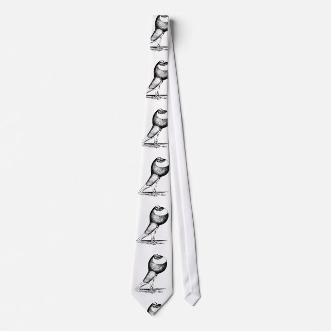 Corbata Paloma de Norwich Cropper 1980 (Anverso)