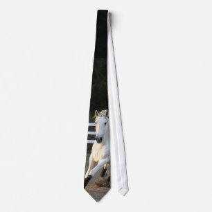 Corbata para hombre Lusitano at Liberty