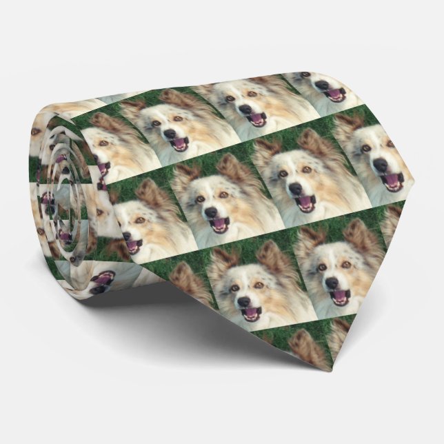 Corbata para perro excepcionalmente hermosa (Enrollado)