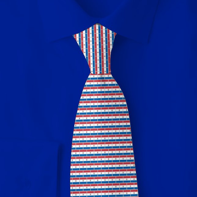 Corbata Paraguay Flag Brick Pattern (Subido por el creador)