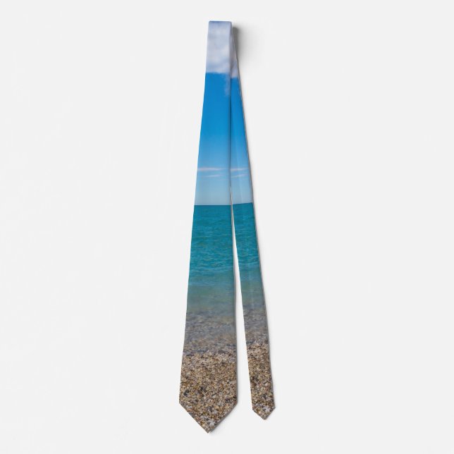 Corbata Paraíso Azul en el lago Michigan (Anverso)
