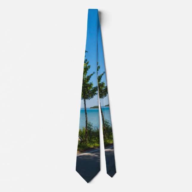 Corbata Paraiso de Lake Shore Drive Neck Tie (Anverso)
