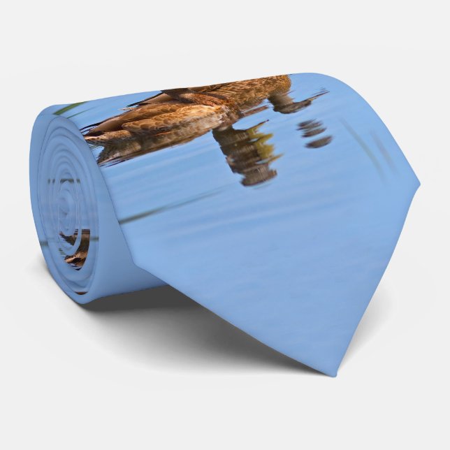 Corbata Pares de patos del pato silvestre (Enrollado)