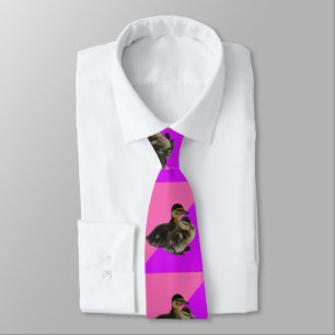 Corbata Patitos sobre sorbete de frambuesa rosa y púrpura