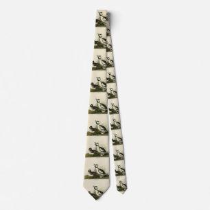 Corbata Pato con cabeza de buffel de los pájaros de Améric