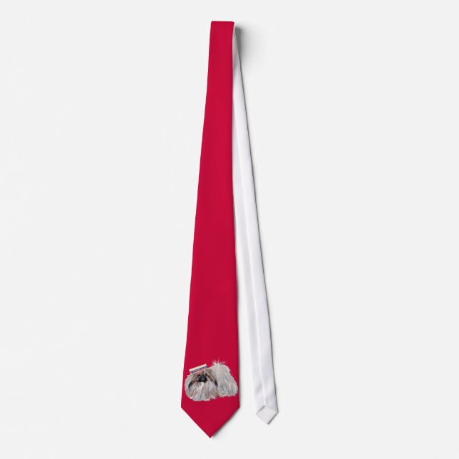 Corbata Patriótica de Pekín (Anverso)