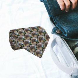 Corbata Patrón de fotos de halcón de cola roja