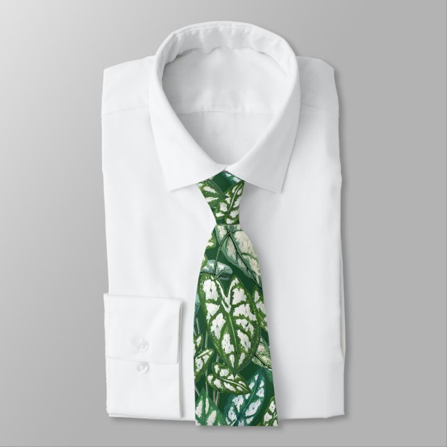 Corbata Patrón de hojas tropicales verdes (Atado)