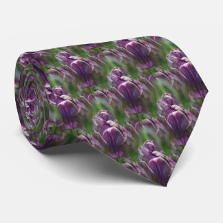 Corbata Patrón de la naturaleza de la flor de tulipán púrp