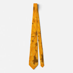 Corbata Patrón de la Tierra Colores Cálidos Amarillo Naran