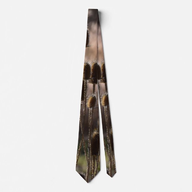 Corbata Patrón de planta seca de cardo de cardencha rústic (Anverso)