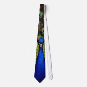 Corbata Peacock Tie