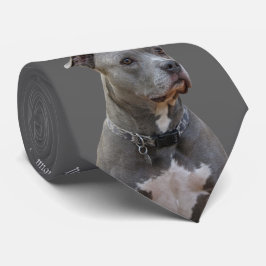 Corbata Pensando en Pitbull Tie
