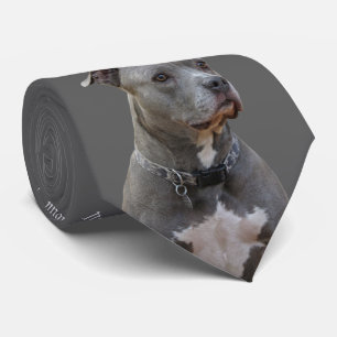 Corbata Pensando en Pitbull Tie
