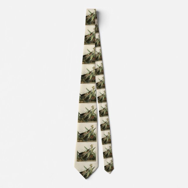 Corbata Perón verde, los pájaros de América de John James  (Anverso)