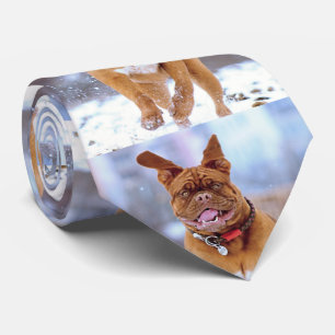 Corbata Perro gracioso
