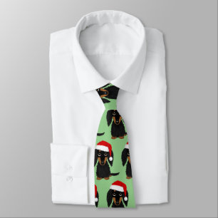 Corbata Perro salchicha de pelo largo negro y marrón en Na