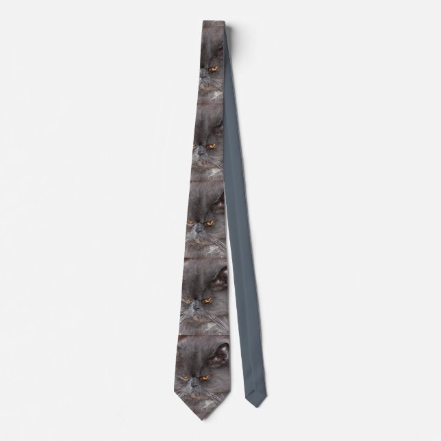 Corbata persa azul (Anverso)