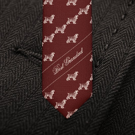 Corbata personalizada para abuelo con patrón de pe