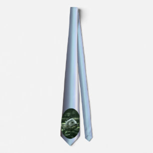 Corbata Pescado acuario feo