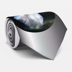 Corbata Pescado blanco siamés de combate