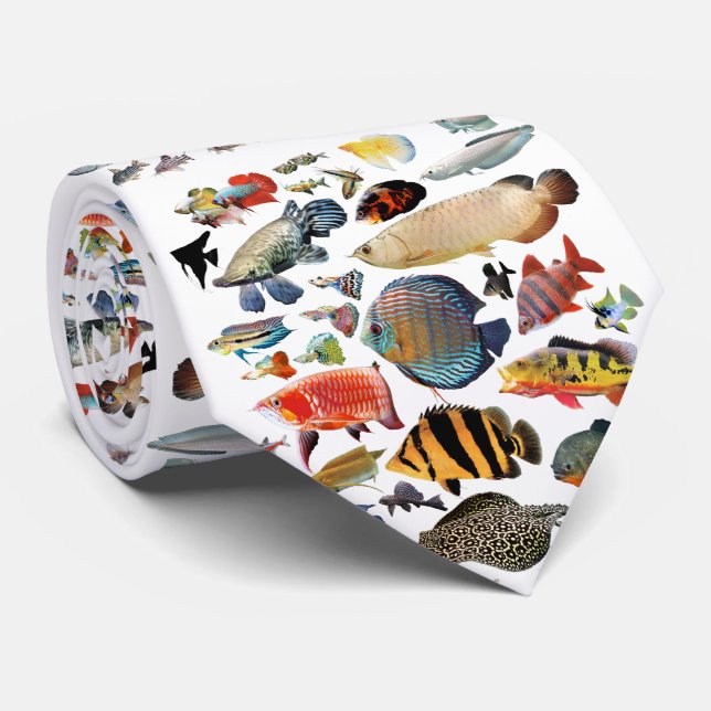 Corbata Pescado tropical de agua dulce ネ タ イ (Enrollado)