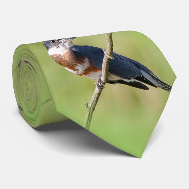 Corbata Pescadora de bizcocho en una extremidad (Enrollado)