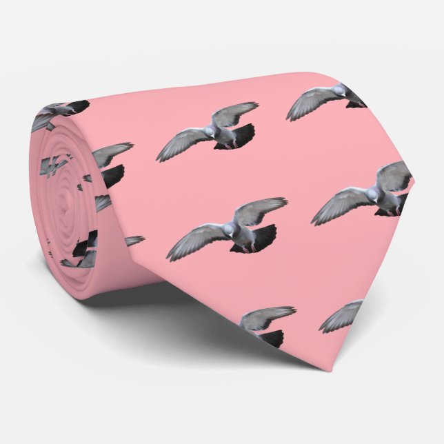 Corbata pichón (Enrollado)