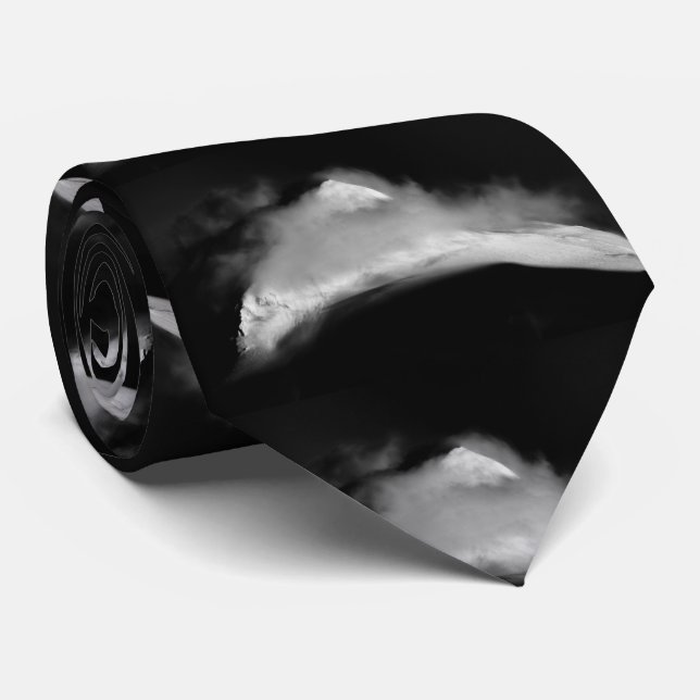 Corbata Pico de Baird con cubierta (Enrollado)