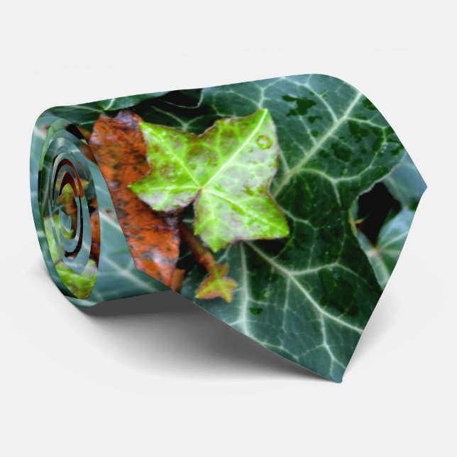 Corbata Piedra de hiedra y de campo (Enrollado)