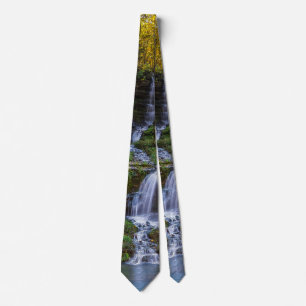 Corbata pintada Thunder Falls