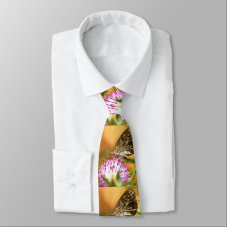 Corbata Pintura de la megareera Lasiommata de Wall Brown