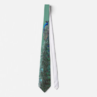 Corbata Pistola de pavo real