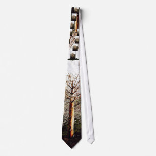 Corbata Planta Dry Ferula