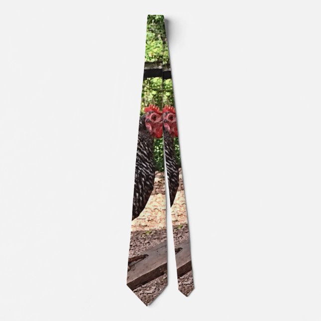 Corbata Plymouth Rock Hens (Anverso)